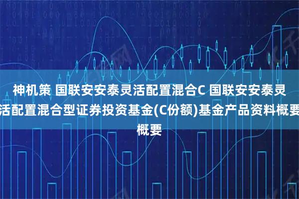 神机策 国联安安泰灵活配置混合C 国联安安泰灵活配置混合型证券投资基金(C份额)基金产品资料概要