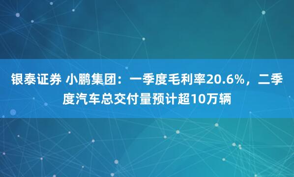 银泰证券 小鹏集团：一季度毛利率20.6%，二季度汽车总交付量预计超10万辆