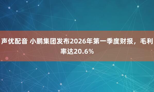 声优配音 小鹏集团发布2026年第一季度财报，毛利率达20.6%