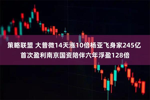 策略联盟 大普微14天涨10倍杨亚飞身家245亿 首次盈利南京国资陪伴六年浮盈128倍