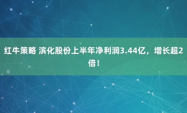 红牛策略 滨化股份上半年净利润3.44亿，增长超2倍！